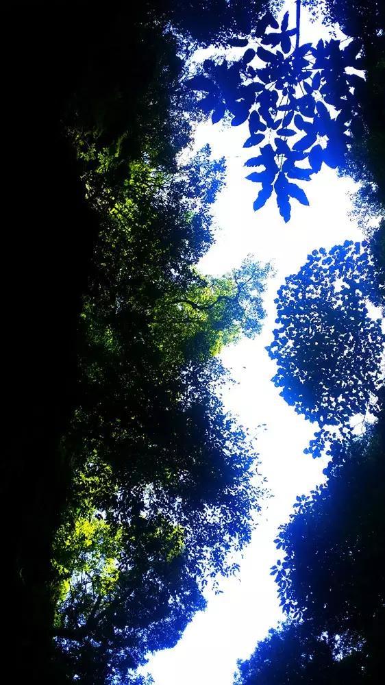 小艾比模仿秀