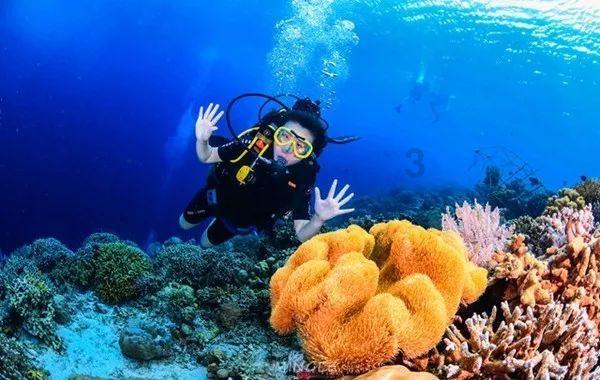 救援瓢虫宝宝